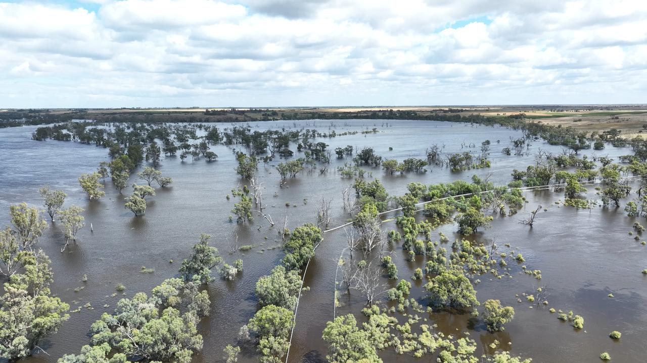 Riverland death: Mystery surrounds death of man found in Ross Lagoon ...