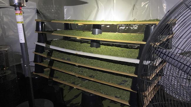 Police uncovered $40m worth of marijuana including 50kg of dried marijuana on a Boondooma property during a sting operation.