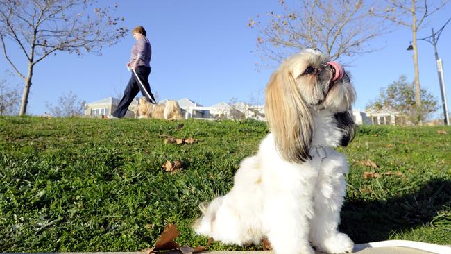 Your dog will enjoy seeing others out and about at Pakenham’s roam free dog parks.