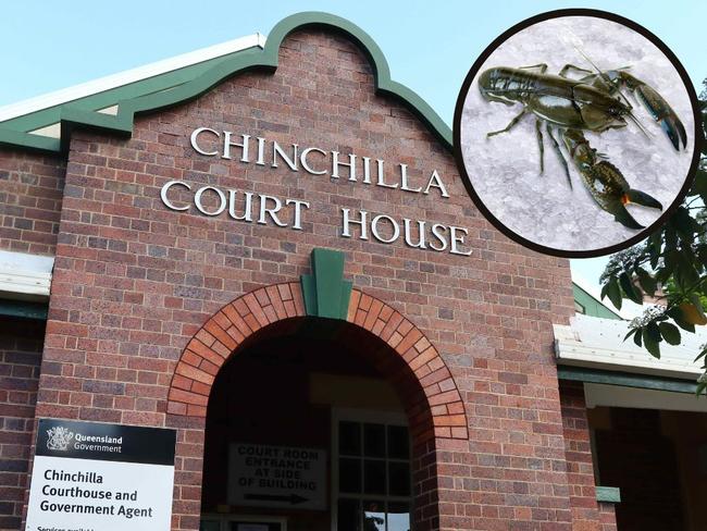 Speeding drink driver tells court he was checking yabby traps