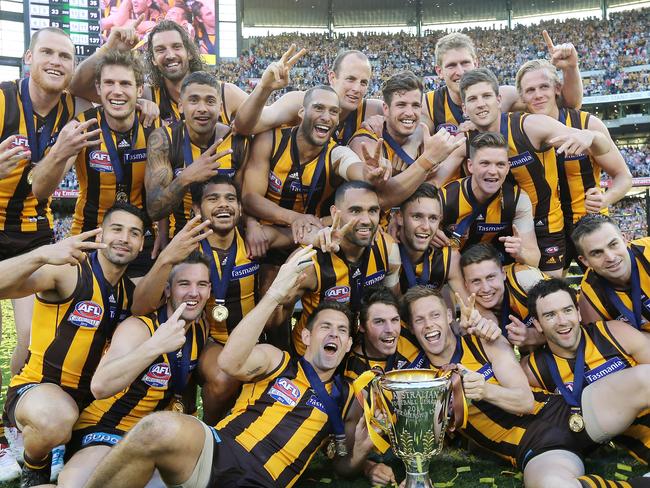 Hawthorn is the 2014 AFL premier Picture: Alex Coppel.