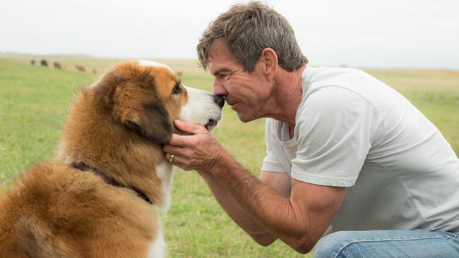 Dennis Quaid in the film A Dog’s Purpose.