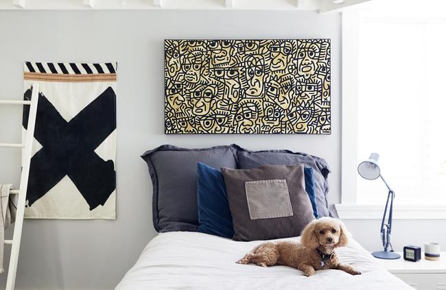 Family pup Ivy rests on Harry’s bed. Picture: Zan Wimberley