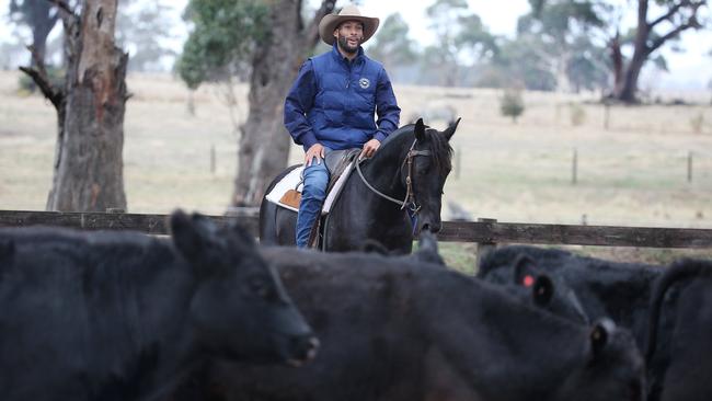 Gibson prepares to round up some cattle. Picture: Michael Klein