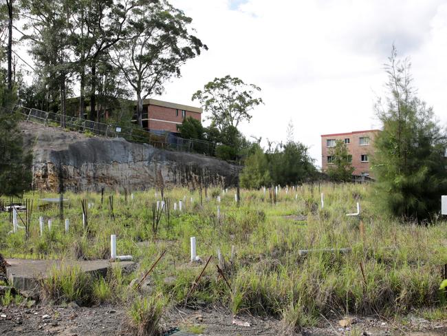 The site is overgrown, almost covering foundation work. Picture: Mark Scott