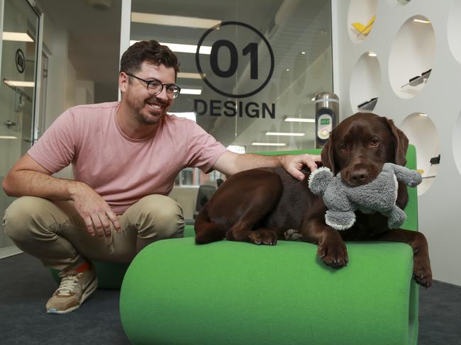 4DESIGN’s Shane Talbot brings his chocolate labrador, Cali, to work. Picture: Justin Lloyd.