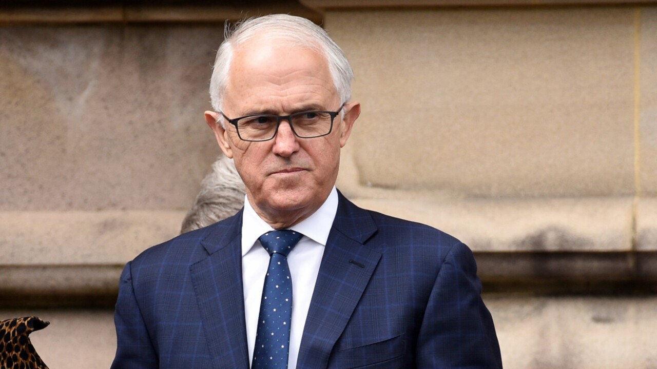 Turnbull backs coal mine moratorium