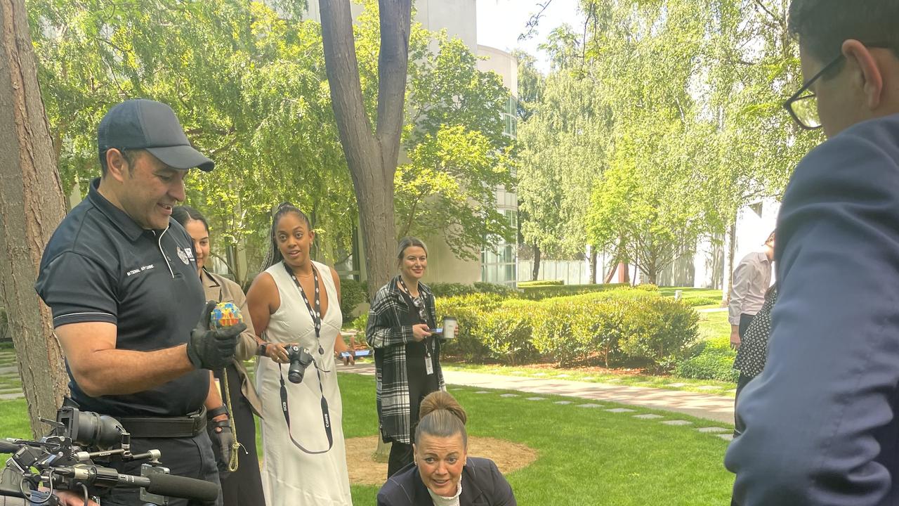 AFP canine's show off their skills to parliamentary staff in Canberra. Picture: Supplied.