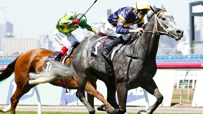 Chautauqua will put his reputation as the world’s No. 1 sprinter on the line when he steps out on Sunday. Picture: Colleen Petch