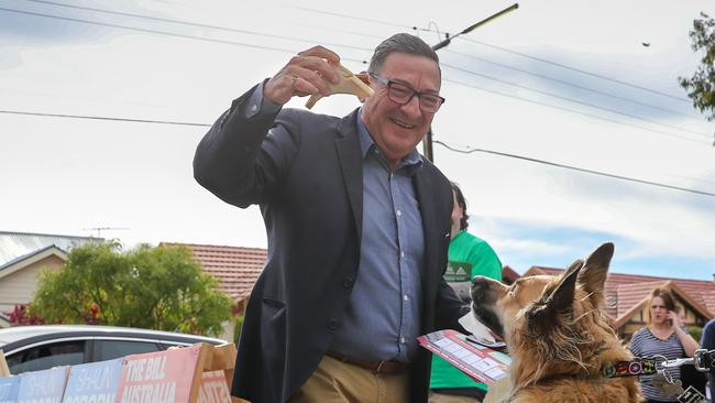 Meet the insta famous dogs of adelaide social media stars messenger