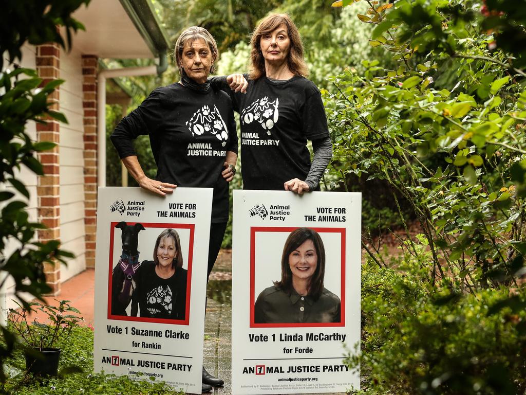 Former Animal Justice Party candidates Suzanne Clarke and Linda McCarthy with their redundant corflutes. Picture: Zak Simmonds