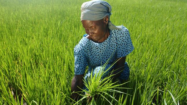 Fertile land the most important resource for the future of food security |  The Weekly Times