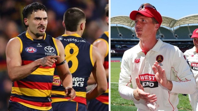 South Australia are hoping to play the Sheffield Shield final at the Adelaide Oval.