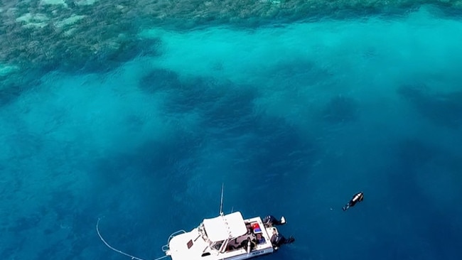 Whitsundays-based marine biologist, Johnny Gaskell, has discovered an unknown Blue Hole in the Great Barrier Reef, after spotting it on Google maps.