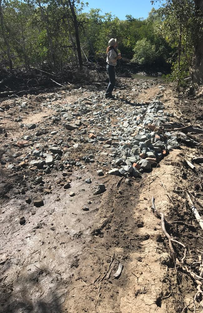 On 19 February, the perpetrator pleaded guilty to all 11 offences in Townsville Magistrates Court, resulting in a $20,000 fine, nearly $5000 in costs, and a $120,000 order towards restoration. Picture: Department of Environment, Science and Innovation