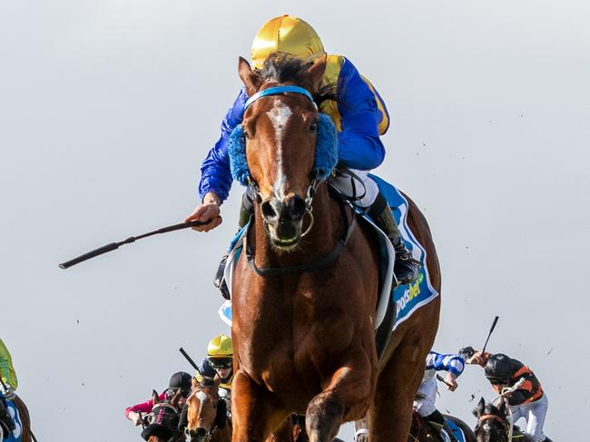 Colmar wins the Group 3 Sires' Produce Stakes at Morphettville in July. Picture: Makoto Kaneko