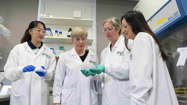 From left: Suya Shen, Jane Hemstritch AO, Associate Professor Tracy Putoczki, Dr Belinda Lee at the Walter and Eliza Institute for Medical Research.