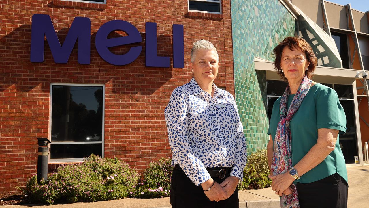 Meli Family Safety and Therapeutic Services director Lisa Robinson and Geelong Community Foundation chief executive officer Gail Rodgers. Picture: Alison Wynd