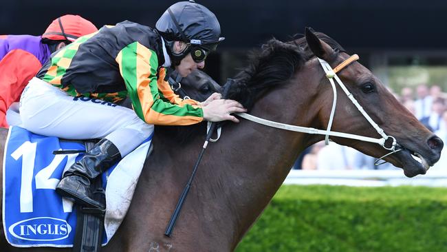 Jockey Corey Brown is confident Sense Of Occasion (ridden here by Ben Melham) can win Saturday’s Doomben Cup. Picture: Simon Bullard.