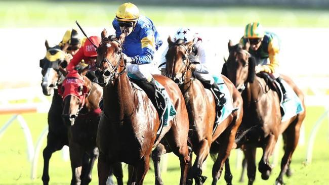 Santa Ana Lane swamped rivals to win the TJ Smith Stakes