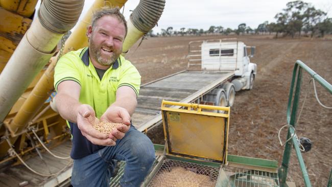 Trevor Froon with barley. Picture: Zoe Phillips