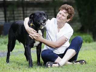 Rhonda Watson thanks her RSPCA-award-winning dog Sam for saving her from a raging bull. Picture: Rob Williams