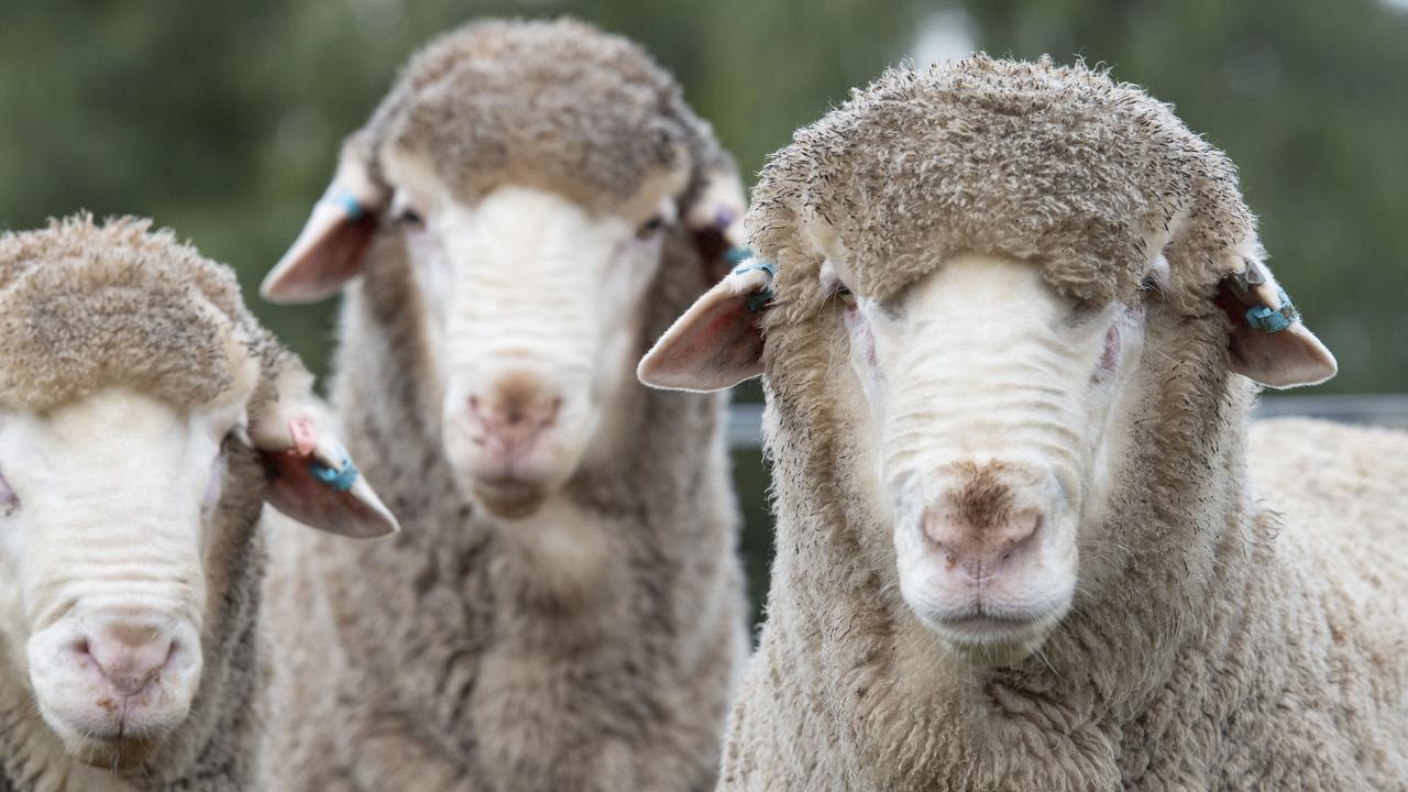 Field days offer respite in an uncertain season