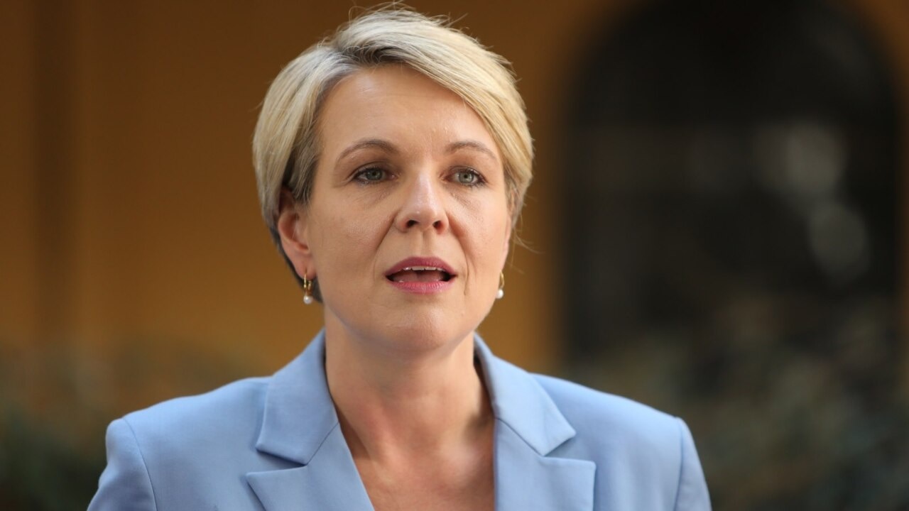 Renewable energy shift 'right thing to do' for environment and economy: Plibersek