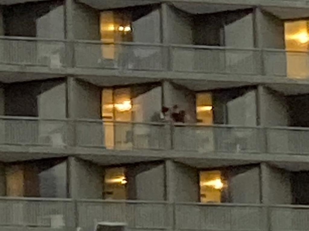 Quarantined guests share items over a balcony in March.