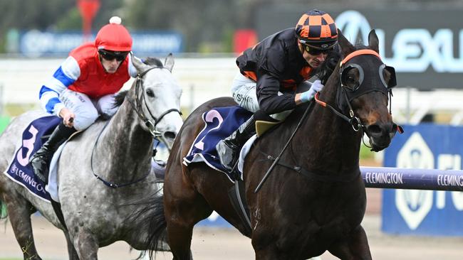 Horrifying races away from Berkshire Breeze at Flemington on Saturday. Picture: Vince Caligiuri/Getty Images