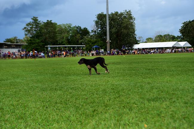 A dog gets shooed off the grounds during this year's 49th Annual Tiwi Grand Final on Bathurst Island, 80km's north of Darwin, NT. Picture: Justin Kennedy