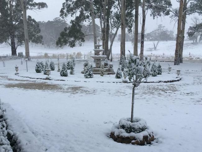 Snowfall in Gingkin, near Oberon. Picture: Twitter / MishCannonmills