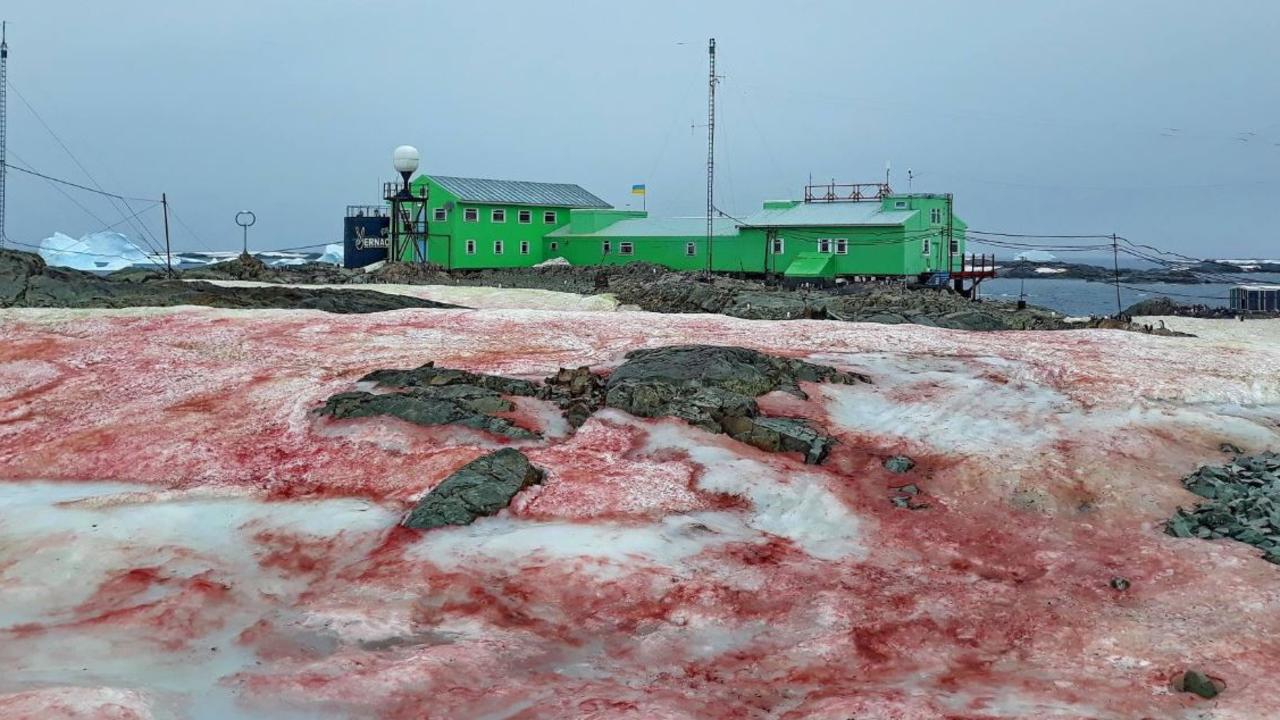 The area where the algae has bloomed has recently been experiencing warmer than usual temperatures. Picture: Andriy Zotov