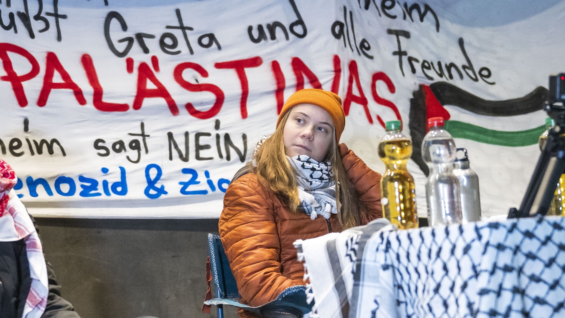 Greta Thunberg to visit Gaza on humanitarian expedition