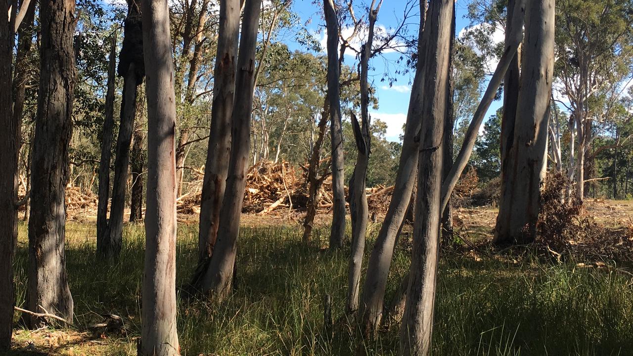 Carbrook residents in fear after hundreds of trees axed at toxic ...