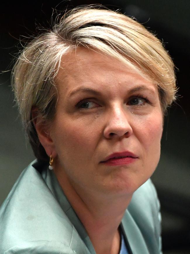 Deputy Leader of the Opposition Tanya Plibersek.