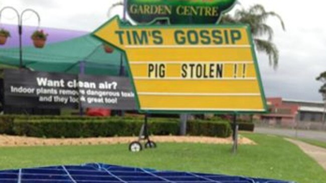 Tim's Garden Centre's infamous social commentator Pig was stolen earlier this week.