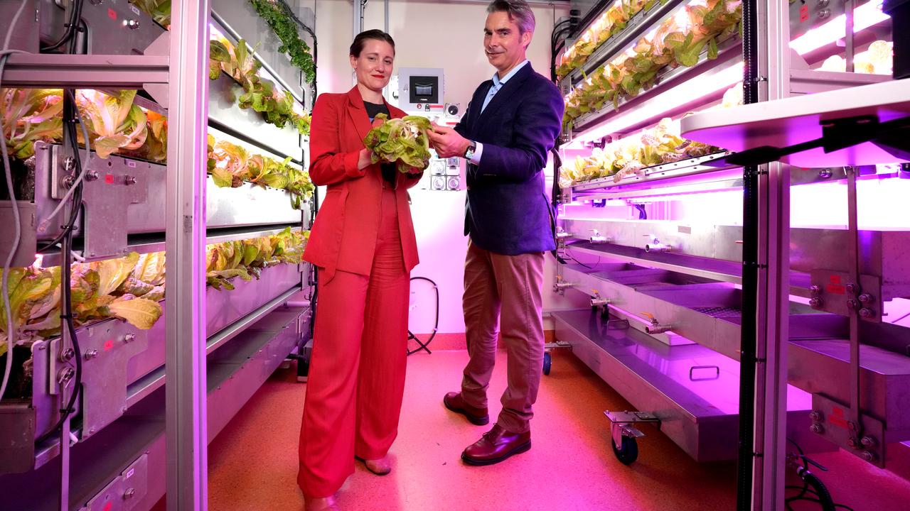 Dr Lieke Van Der Hulst and Professor Matthew Gilliham with some of the lettuces grown for NASA. Picture: Dean Martin