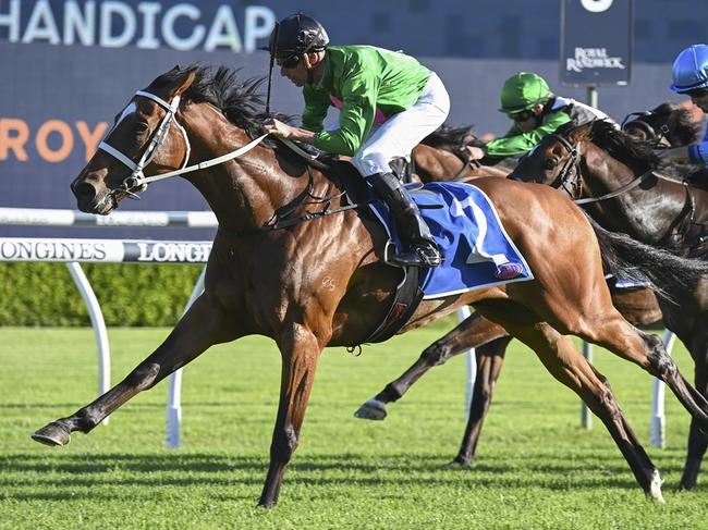 Nash Rawiller reunited with Democracy Manifest in the Five Diamonds at Rosehill on Saturday. Picture: Bradley Photos