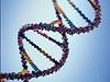 DNA sequence