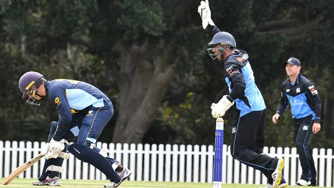 Norths players celebrate a wicket Norths Vs Valley. Saturday September 28, 2024. Picture, John Gass