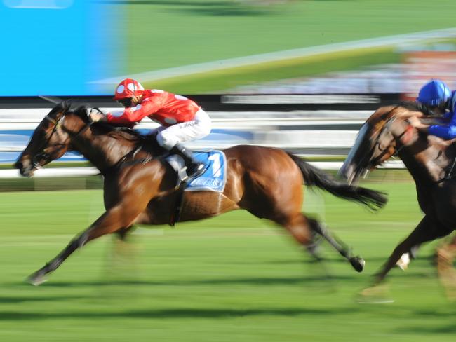 Bachman will have to negogiate an extra 200m on Saturday. Picture: Simon Bullard