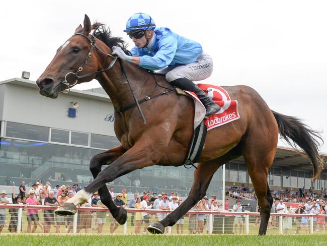 Cherish Me ridden by Thomas Stockdale wins the Rex Gorell Volkswagen Geelong Diamond at Geelong Racecourse on January 04, 2025 in Geelong, Australia. (Brett Holburt/Racing Photos via Getty Images)