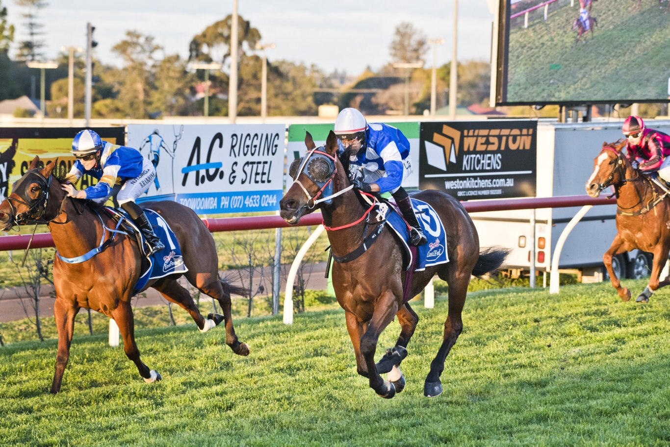 Petite Elle ridden by Girish Goomany wins race 2. Picture: Nev Madsen