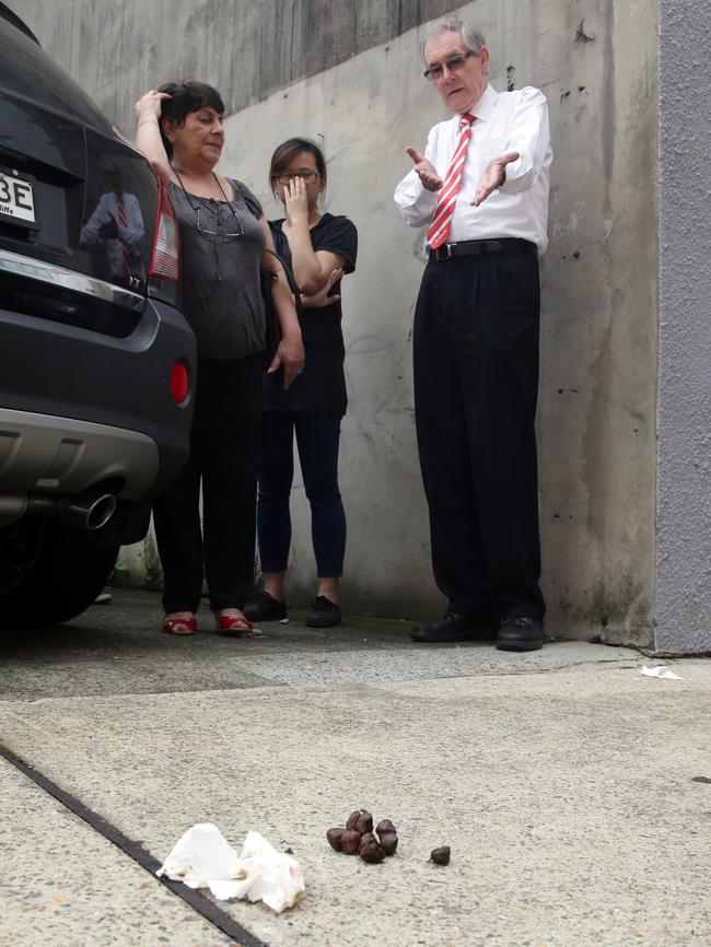 Tim Simpson, Julie Passas and Rita Lin are fed up with people defecating in the alleyway.