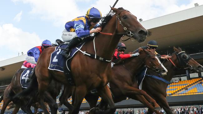 Highlights wins at Rosehill.