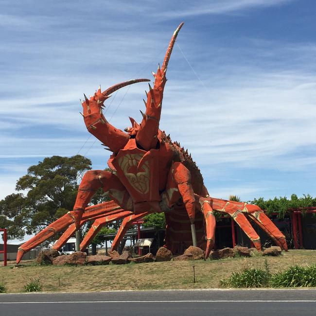 That’s one Big Lobster. Picture: Annie Millard