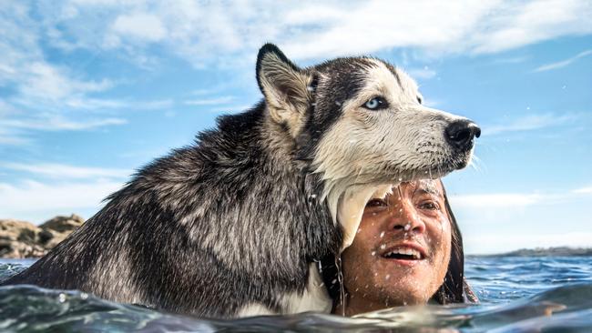 Mark Rushton swims with his husky, by Jessica Hromas. Picture: John Feder