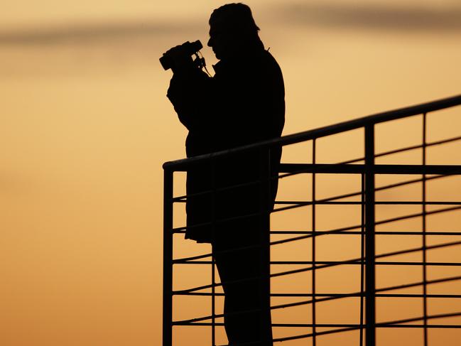 Going for a record 13th Melbourne Cup Bart Cummings was back at work early for morning trackwork at Flemington.