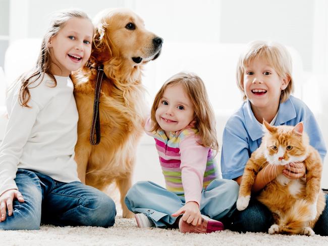 Owning a pet comes with many responsibilities, so think twice before getting one. Picture: iStock